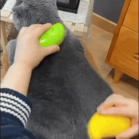 🐾✨ Cepillo de Vapor 3 en 1 para Gatos y Perros ✨🐾